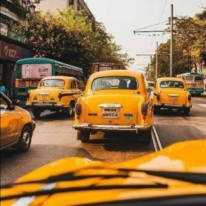 Meet your Posher, Maya